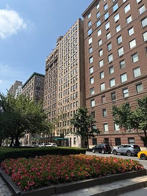 IMG 1037