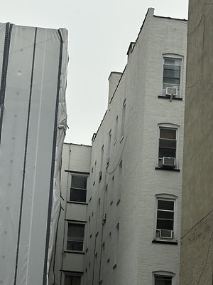 IMG 6525