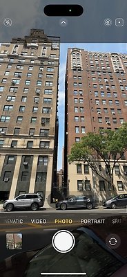 IMG 1056