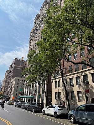 IMG 1058