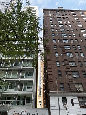 IMG 1170