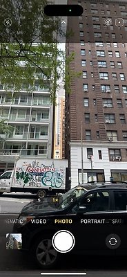 IMG 1168