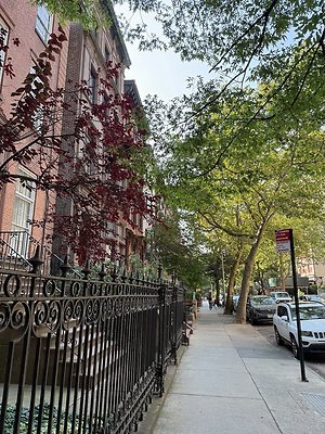IMG 0961